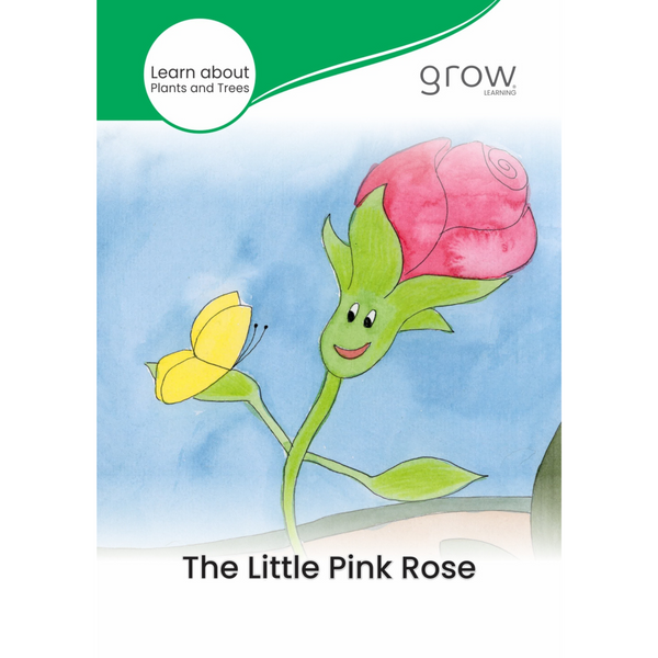 The Little Pink Rose